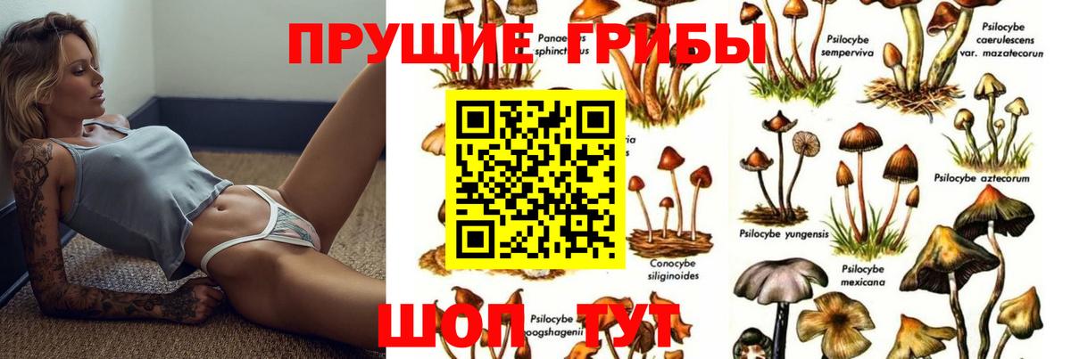 где найти   Галлюциногенные грибы ЛСД  Вход с VPN  Чусовой 